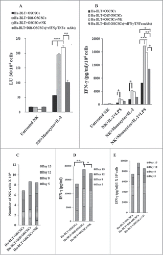 Figure 7. Monocytes or osteoclasts from tumor-bearing mice injected with super-charged NK cells or implanted with only NK-differentiated OSCSC-tumors induced significantly more IFN-γ from autologous or allogeneic NK-tumor co-cultures when compared to those of tumor-alone implanted mice with NK cells. Hu-BLT mice were implanted with OSCSCs and injected with NK cells, and fed AJ2 as described in Fig. 1B. After sacrifice, NK cells from splenocytes and monocytes from BM cells were isolated, as described in Material and Methods section. Autologous NK cells were left untreated or treated with IL-2 (1000 U/ml) in combination with monocytes (NK:monocytes, 2:1) and at day 7 after the co-culture, NK cells were used as effector cells in a standard 4-hour 51Chromium release assay against OSCSCs. The LU 30/106 cells were determined using inverse number of NK cells required to lyse 30% of the target cells X100 (A). Autologous NK cells were left untreated or treated with IL-2 (1000 U/ml) or with the combination of IL-2 (1000 U/ml) and LPS (100 ng/ml) in the absence and presence of monocytes (NK:monocytes, 2:1) for 7 days, after which the supernatants were harvested and IFN-γ secretion were determined using single ELISA (B). OCs were generated from purified hu-BLT monocytes, as described in Material and Methods section. Purified allogeneic NK cells from healthy human donors were pre-treated with IL-2 (1000 U/ml) and anti-CD16mAb (3 µg/ml) for 18 hours and then cultured with hu-BLT-OCs in the presence of sAJ2 (NK:OCs:sAJ2, 2:1:4). After culture, numbers of NK cells in the culture were counted on day 5, 8, 12 and 15 using microscopy (C). The supernatants were harvested from cultures on days 5, 8, 12 and 15 and the IFN-γ secretion was determined using single ELISA (D). The levels of IFN-γ obtained from ELISA were determined in 1 × 106 cells using cell counts from Fig. 7C (E).