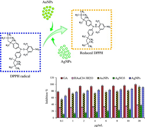 Figure 5. Dose-dependent in vitro DPPH radical scavenging activity of Gallic acid, HAuCl4, gold nanoparticles, AgNO3 and silver nanoparticles.