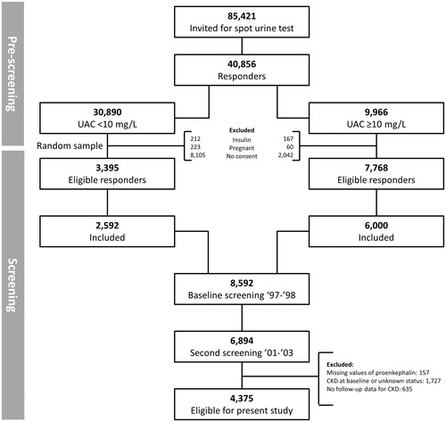 Figure 1. Flow diagram of the participants in the study.