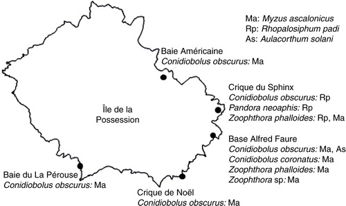 Fig. 1  Distribution of Entomophthorales on Île de la Possession (Archipel Crozet).
