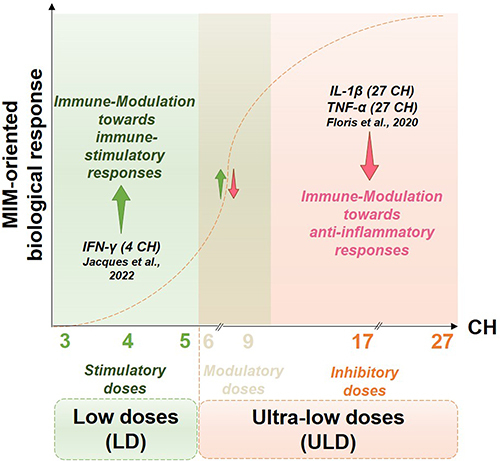 Figure 1 General scheme of the concept of low doses (LD) and ultra-low doses (ULD) in the context of MI supported by the two cited preclinical research studies referring to the immune-stimulatory/anti-inflammatory responses elicited by the LD or ULD, respectively. LD of cytokines, ranging from 3 centesimal Hahnemannian (CH) to 5 CH, aim at orienting the immune responses towards an immune stimulation, inducing their own biological effect through mimicking the physiological low doses employed in the body. The immune-stimulatory effects of IFN-γ (4 CH) have been reported by Jacques et al 2022.Citation7 On the other side of the spectrum, ULD aim at modulating (from 6 CH)/down-regulating (from 12 CH and beyond) a response. For instance, the pro-inflammatory cytokines IL-1β and TNF-α employed at 27 CH, exerted anti-inflammatory responses (Floris et al 2020).Citation9 The CH numbers represented on the x-axis are the ones employed in the MIM’s formulations studied in the current manuscript. The arrows represent the direction of the oriented biological response mediated by the LD/ULD employed in micro-immunotherapy medicines (MIM). Green arrow, Stimulation of a biological response; Red arrow, Inhibition of a biological response; Combined Green and Red arrow, Modulation of a biological response.