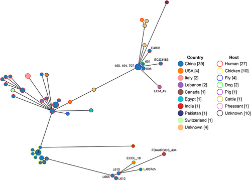 Figure 1 Phylogenetic tree of ECO3183 and other E. coli isolates retrieved from the BacWGSTdb server (http://bacdb.cn/BacWGSTdb/). The line length connecting each circle depicts clonal relationships between different isolates. The fill and stroke color of the circle denotes a specific country and host, respectively. The numbers in square brackets are the number of corresponding isolates.