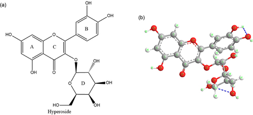 Figure 2 Structure and structure–activity of hyperoside. Chemical structural formula of hyperoside (a), Spatial structure diagram of hyperoside (b).