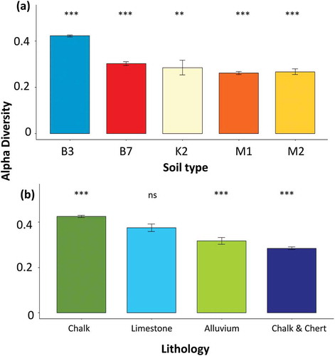 Figure 11. The selected factors of lithology and soil type corresponding to alpha diversity. Significant differences are marked with asterisks (p ≤ 0.05). ns stands for no significant