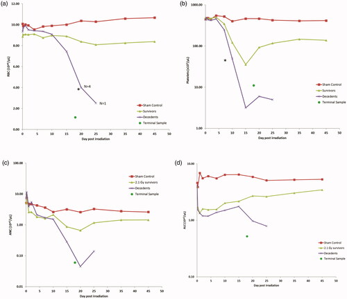 Figure 2. (a) Average hematology parameters in male Gottingen minipigs following total body irradiation of 6 MV Linac-derived photons at a dose rate of approximately 0.75 Gy min–1. a) red blood cell (RBC) count. For decedents, each data point represents the average of n = 6 animals, with the exception of Day 20 (n = 4) and Day 25 (n = 1). A single animal succumbed at Day 18 and is provided independently (‘terminal sample’). The Sham Control group consisted of n = 4 animals. For ease in illustrating changes, the group standard deviations are not presented, however any statistical significance is noted by * (p < .0001). (b) platelet count. (c) neutrophil count (ANC). (d) absolute lymphocyte count (ALC).