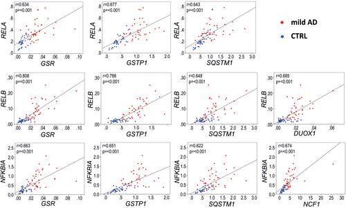 Figure 9 Representative Pearson correlations between inflammation and redox genes in the blood of AD patients.with the most significantly overexpressed (FC>3, p<0.001, and AUC>0.9) inflammation and redox genes. Note the high correlation in expression between the inflammation-related genes RELB and NFKB1A, regulated by transcription factor RELA, and three redox genes, GSR, GSTP1 and SQSTM1, regulated by the transcription factor NRF2. Blue dots, control group; red dots, AD group. Gene expression data are presented as 2−∆Ct values.