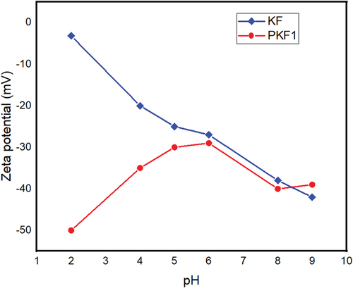 Figure 4. Effect of pH on the zeta potential for unmodified kraft fibers and phosphorylated kraft fibers.