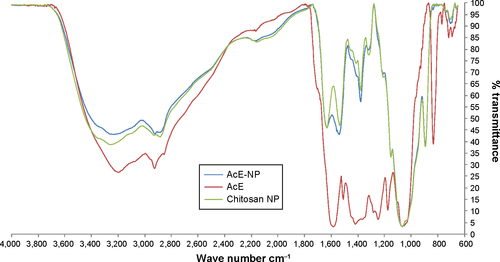 Figure S1 Fourier transform infrared spectra of AcE, chitosan NPs, and AcE-NPs.Abbreviations: AcE-NP, Arrabidaea chica extract nanoparticle; AcE, Arrabidaea chica extract; NP, nanoparticle.