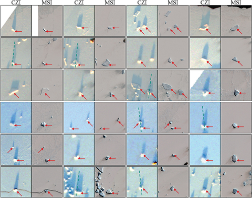 Figure 3. Selected iceberg pairs in CZI (R: 650 nm, G: 560 nm; B: 460 nm) and MSI (R: 665 nm, G: 560 nm; B: 490 nm) true color RGB images. Note that some of them were on the track of ICESat-2 orbits (green dotted line) at the same period.