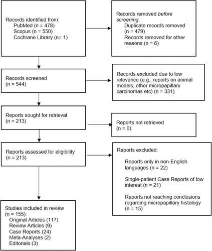 Figure 2 Report selection flowchart.