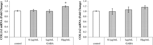 Fig. 1. Effects of GABA on type I collagen mRNA expression in NHDFs.