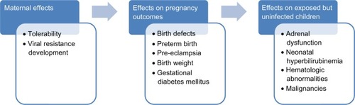 Figure 1 Concerns raised by the use of protease inhibitors during pregnancy.