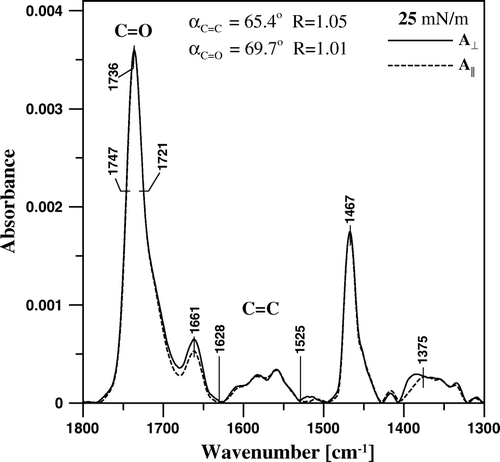 Figure 9.  FTIR absorption spectra of the monomolecular layer formed with pure canthaxanthin, deposited to Ge support at the surface pressure 25 mN/m, recorded with the electric vector of the radiation polarized perpendicular (A⊥, solid line) and parallel (A||, dashed line) with respect to the plane of incidence. The C = O and C = C bands integration limits are shown (1721–1747 cm−1 and 1525–1628 cm−1, respectively) along with the determined dichroic ratio values (R) and calculated mean orientation angle values αC = O and αC = C.