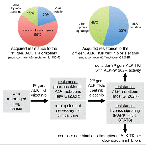 Figure 1. Mechanisms of ALK inhibitor resistance and therapeutic strategies. (Top) Pie charts indicating frequencies of mechanisms of resistance to 1st (crizotinib) and 2nd generation (ceritinib or alectinib) ALK TKIs, modified from reference [7]. (Bottom) Flow chart of currently approved ALK TKIs, mechanisms of resistance, sequence of therapeutic targeting and possible avenues for clinical development of novel strategies.