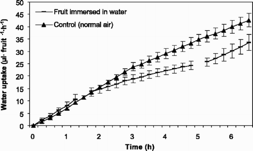 Fig. 5 Accumulated water uptake through the pedicel of fruits of sweet cherry ‘Rainier’ (1997) kept in air and interrupted by fruit immersion in water for 3 h. The first break in line is when the fruits were immersed in water, while the second break is when the fruits were dried. Vertical bars represents standard error of the means (SE) and 9 fruits were immersed in water in addition to 5 control fruits. Regression describing the data are: (▴) y=0.79+6.17x, r 2=0.923; (-) y=0.11+8.08x, r 2=0.536; y=0.98+3.38x, r 2=0.648 and y=0.13+4.30x, r 2=0.334 before, during and after immersion, respectively.