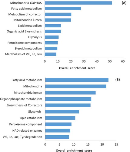 Figure 4. Enriched pathways based on inactivated or activated genes in gene knockout simulations. (A) Enriched pathways based on 307 inactivated genes as a result of deleting asthenozoospermia-implicated metabolic genes not predicted by SpermNet. (B) Enriched pathways based on 287 activated genes as a result of deleting asthenozoospermia-implicated metabolic genes not predicted by SpermNet.