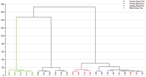 Figure 7. CA dendrogram of 24 tea samples.