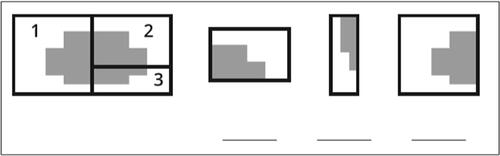 Figure 3 Example visual processing test item.