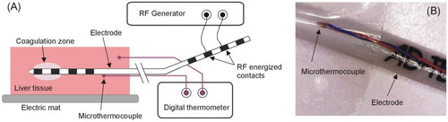 Figure 2. (A) Overview of the experimental setup used in the ex vivo experiments. (B) Detail of the microthermocouple attached to the electrode surface to assess self-heating caused by the resistance of the internal wires connecting the external and internal contacts.