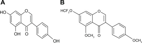 Figure 1 Structure of genistein and DFMG (A) the structure of genistein and (B) the structure of 7-Difluoromethyl-5, 4′-dimethoxygenistein (DFMG).