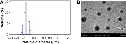 Figure 3 (A) Size distribution of the optimized andrographolide-loaded nanoemulsion (AG-NE) droplets determined by photon correlation spectroscopy. (B) Transmission electron microscopy image of the AG-NE.