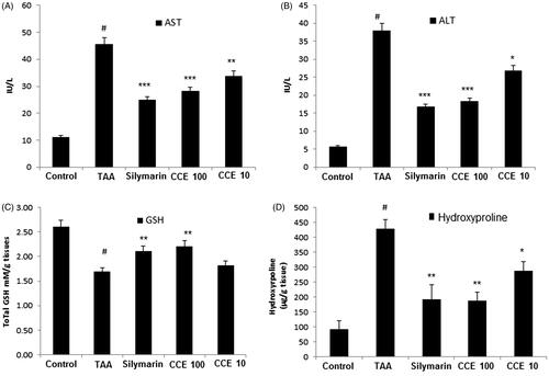 Figure 4. Effect of CCE on AST/ALT levels, total glutathione (GSH) contents and hydroxyproline levels in TAA-induced liver fibrosis rats. (A) HSC-T6 cells were incubated with CCE and silymarin for 24 h. Levels of AST (A) and ALT (B) in serum were measured using spectrophotometry. Total GSH contents (C) and hydroxyproline levels (D) in liver tissues were measured using spectrophotometry. TAA (200 mg/kg): thioacetamide-induced liver fibrosis rats, silymarin (50 mg/kg): positive control rats, CCE 100: CCE 100 mg/kg treated rats, CCE 10: CCE 10 mg/kg treated rats. The data are expressed as means ± S.E.M. (n = 10) using one-way analysis of variance (ANOVA) followed by Student’s t-test. #p < 0.05 as compared with control group, *p < 0.05, **p < 0.01, ***p < 0.001 as compared with TAA group.