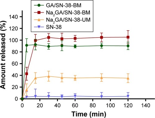 Figure 1 In vitro release profiles of SN-38, Na2GA/SN-38-UM, Na2GA/SN-38-BM and GA/SN-38-BM (n=3).Abbreviations: Na2GA, disodium glycyrrhizin; Na2GA/SN-38-UM, untreated mixture of Na2GA and SN-38; Na2GA/SN-38-BM, amorphous solid dispersion of SN-38 with Na2GA)was prepared by mechanical ball milling; SN-38, 7-ethyl-10-hydroxycamptothecin.