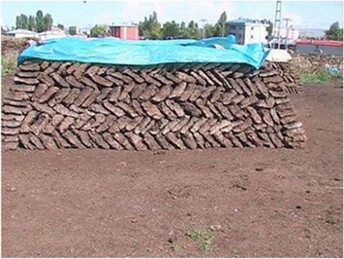 Figure 2 Dry animal dung (manure), rather than wood or charcoal, is used as the fuel source.