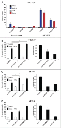 Figure 3. Antioxidant p53 target genes protect from Nutlin-3 and ATMi synthetic lethality. (A) HCT116 cells were treated as indicated and Q-RT-PCR performed as in Figure 1A. (B–D) (Left) HCT116 cells stably expressing the indicated shRNAs were treated with DMSO or Nutlin-3 and ATMi for 24 hours prior to Annexin V staining and analysis by flow cytometry. (Right) Q-RT-PCR confirmation of shRNA knockdowns. Data presented are average of at least 3 independent replicates +/− SEM. *P < 0.05, **P < 0 .01.