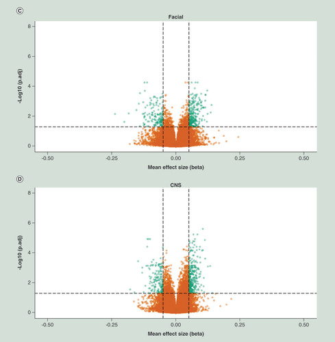 Figure 1.  Volcano plots of differentially methylated positions detected in (A) the whole sample, (B) growth, (C) facial and (D) CNS analyses groups of the discovery cohort.X-axis represent mean effect size difference between fetal alcohol spectrum disorder cases and controls, Y-axis represents the –log10 of the adj. P-value. Horizontal dotted line represents genome wide significance threshold, vertical dotted lines indicates an effect size (delta mean difference) of 5%. Green dots represents genome wide significant differentially methylated positions with an absolute effect size larger than 5%.