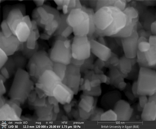 Figure 4. SEM image for ZnO assisted CTAB synthesised at concentration of 1% after calcination at 350°C.