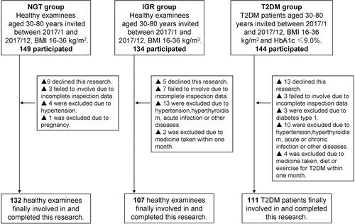 Figure 1 Protocol flow chart for the study population.Abbreviations: NGT, normal-glucose tolerance; IGR, impaired-glucose regulation; T2DM, type 2 diabetes; BMI, body mass indexes; HbA1c, glycated hemoglobin.