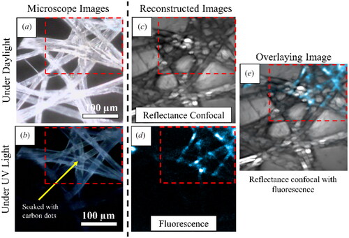 Figure 9. Multimodal imaging on lens-cleaning tissues partially soaked with CDs. Microscope images of the fibrous network sample under (a) daylight and (b) UV light. The corresponding (c) confocal reflectance and (d) fluorescence image of the sample with (e) their overlaying image.