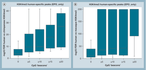 Figure 3.  Stronger human-specific H3K4m3 peaks identified (FDR p value) with CpG ‘beacon’ density in both human versus chimpanzee (A), and versus rhesus macaque (B) (Wilcoxon test CpG ‘beacon’ 0 vs > = 20, p = 3.57 × 10-3 chimpanzee and p = 2.50 × 10-2 macaque (p = 0 values capped at 10-200).This analysis is within the primate-alignable (EPO [Citation10,Citation11]) portion of the human genome. EPO: Enredo-Pecan-Ortheus; FDR: False discovery rate.