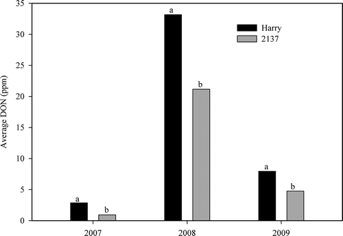 Fig. 2. Average deoxynivalenol (DON) concentration in grain from tagged spikes in experiments conducted at Mead, Nebraska, USA in 2007–2009 to investigate the accumulation of DON in two winter wheat cultivars: ‘Harry’ (moderately resistant to Fusarium head blight (FHB), high DON accumulator) and ‘2137’ (susceptible to FHB). Spikes were tagged according to severity categories ranging from 0 to 50% in 2007 and 2009 and according to severity categories ranging from 20 to 90% in 2008. Means (bars) with the same letter within a year are not significantly different at P = 0.05 according to the t-test.