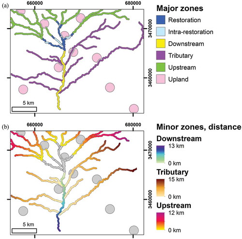 Figure 4. Definition of major and minor zones used to analyze spatial extent of restoration impacts. (a) Major zones were based on hydrologic relationship to ECSs. (b) Minor zones were subdivided into 1 km intervals. Upstream and downstream minor zones were based on distance to restoration. Tributary minor zones were based on distance from confluence with the Rio San Bernardino. Restoration, intra-restoration, and upland zones were not subdivided and are shown in gray (b). Projection is WGS84 UTM 12N.