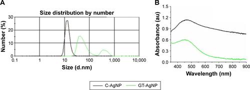 Figure S1 DLS (A) and UV-VIS spectra (B) of GT-AgNPs and C-AgNPs 3 months after synthesis.Abbreviations: C, coffee; GT, green tea; NP, nanoparticle.