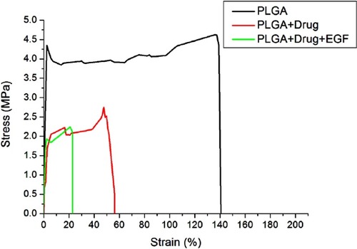 Figure 6 Stress–strain curve of pure PLGA, lidocaine-incorporated, and lidocaine/hEGF-loaded sheath-core-structured nanofibers.Abbreviations: hEGF, human epidermal growth factor; PLGA, poly[(d,l)-lactide-co-glycolide].