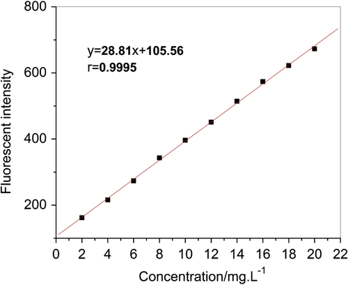 Figure 9 Linearity of fluorescent intensity and concentration of AA–APEL–PA.