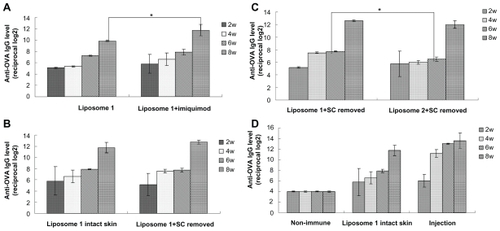 Figure 4 Anti-OVA IgG responses obtained with liposome formulations by transcutaneous immunization. (A) Liposome 1 (prepared by film-dispersion method) with or without adjuvant imiquimod transcutaneously. (B) Liposome 1 (prepared by film-dispersion method) applied on intact skin or stratum corneum pretreated skin transcutaneously, imiquimod as an adjuvant. (C) liposome 1 (prepared by film-dispersion method) and liposome 2 applied transcutaneously stratum corneum pretreated skin with the adjuvant imiquimod. (D) Liposome 1 (prepared by film-dispersion method) applied transcutaneously in the intact skin, with the adjuvant imiquimod; injection represents the OVA solution subcutaneously injected as a positive control.Notes: Bars indicate standard deviation (n = 3). Statistical significance was evaluated by one-way ANOVA (*P < 0.05).Abbreviations: OVA, ovalbumin; IgG, immunoglobulin G; ANOVA, analysis of variance.
