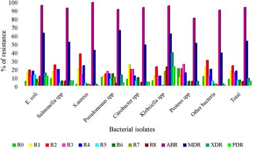 Figure 1 Multidrug resistance profiles of bacterial isolates isolated from hotspot environments in Bahir Dar City, 2021