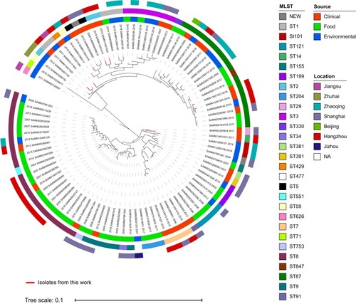 Figure 1 Core-genome-based phylogenic tree of 95 representative L. monocytogenes from China, including 13 isolates from this study and 82 strains downloaded from NCBI genome database. The location of the isolates is labelled in the outer ring. The source of the strains is colored in the middle ring. STs of the isolates were presented in the inner ring. Isolates identified in this study were colored in red. NA, details regarding the region of the strains are not available. The bar shows 0.1 nucleotide substitution per position.