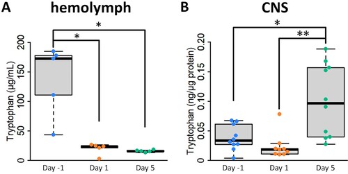 Figure 3. Food deprivation regulates the tryptophan content in the hemolymph and CNS. (A) Changes in hemolymph 5-HT levels by food deprivation (1-way ANOVA, n = 5 each, F(2,12) = 9.41, P = 0.017, Holm’s post hoc test P = 0.032 for Day −1 vs Day 1; P = 0.032 for Day −1 vs Day 5). (B) Changes in CNS 5-HT levels by food deprivation (one-way ANOVA, n = 10 for Day −1 and Day 5, n = 9 for Day 1, F(2,26) = 6.96, P = 0.007, Holm’s post hoc test P = 0.021 for Day −1 vs Day 5; P = 0.009 for Day 1 vs Day 5). CNS, central nervous system. *P < 0.05, **P < 0.01.