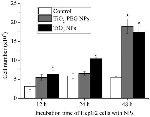 Figure 3. TiO2-PEG NPs induce proliferation of HepG2 cells. Cells were incubated without (white squares) or with TiO2 (black squares) and TiO2-PEG (gray squares) NPs at a concentration of 100 μg ml–1 for 12, 24, and 48 h. All values are presented as mean ± SD (n ≥ 3). Data were analyzed using Student’s t-test; *p ≤ 0.05, **p ≤ 0.01.