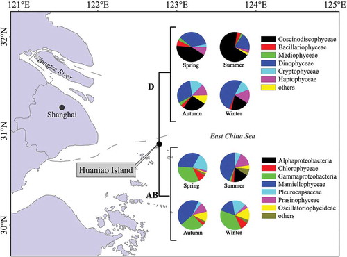 Fig. 1. The phytoplankton community structure in surface seawater sampled at Huaniao Island in the coastal East China Sea in spring (17 April 2012 and 24 March–18 April 2013), summer (31 July 2012 and 18 July–8 August 2013), autumn (6 October 2012 and 23 October–12 November 2013) and winter (29 December 2012 and 1–12 January 2013) periods. ‘Others’ include Zetaproteobacteria, Euglenida, Klebsormidiophyceae, Trebouxiophyceae and Ulvophyceae (Form IAB), and Dictyochophyceae, Fragilariophyceae, Pelagophyceae, Eustigmatophyceae, Chrysophyceae and Raphidophyceae (Form ID).