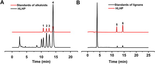 Figure 1. HPLC chromatogram spectra of HLHPE, based on the different analysis conditions of alkaloids (A) and lignans (B). Peak 1 ∼ 6 represents as epiberberine, coptisine, balmatine, berberine, honokiol, magnolol, respectively.