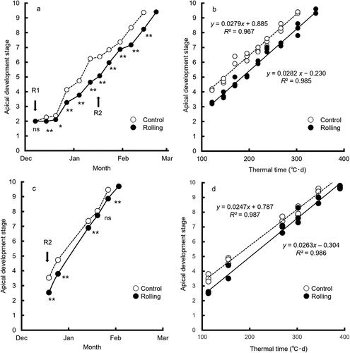 Figure 2. Time course of apical development in (a) 2018–19 and (c) 2019–20, and regression analysis between apical development stage and thermal time in (b) 2018–19 and (d) 2019–20.