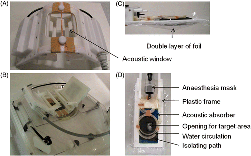 Figure 1. (A) The acoustic window in the bottom of the small animal HIFU‐compatible MR coil (dimensions 10 × 10 cm2) with the copper strip in the middle. (B) The coil fixed inside the water pool and installed on the patient bed of the MR scanner. (C) Side view of the animal bed design. The space between the foil layers (indicated by the arrow) was filled with degassed water and ultrasound gel. (D) Top view of the animal bed showing the details of the design.