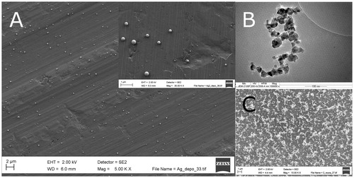 Figure 5. Micrographs of (a) deposited Ag particles (SEM) at two magnifications, (b) typical ZnO particle (TEM) applied in this study, and (c) deposited ZnO particles (SEM).