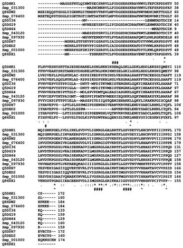 Figure 4 Multiple sequence alignment of the sequences of selected universal stress proteins of Schistosoma mansoni and Schistosoma japonicum.